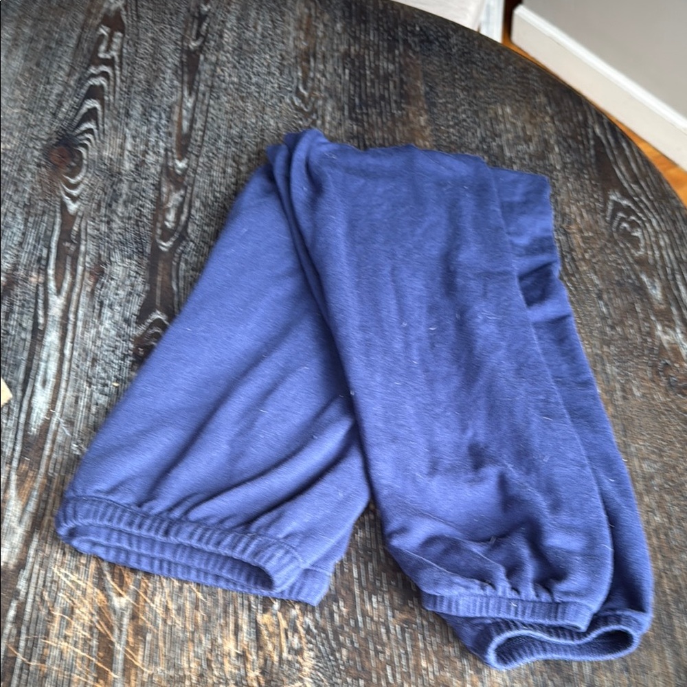 Aerie Blue Sweatpants Joggers